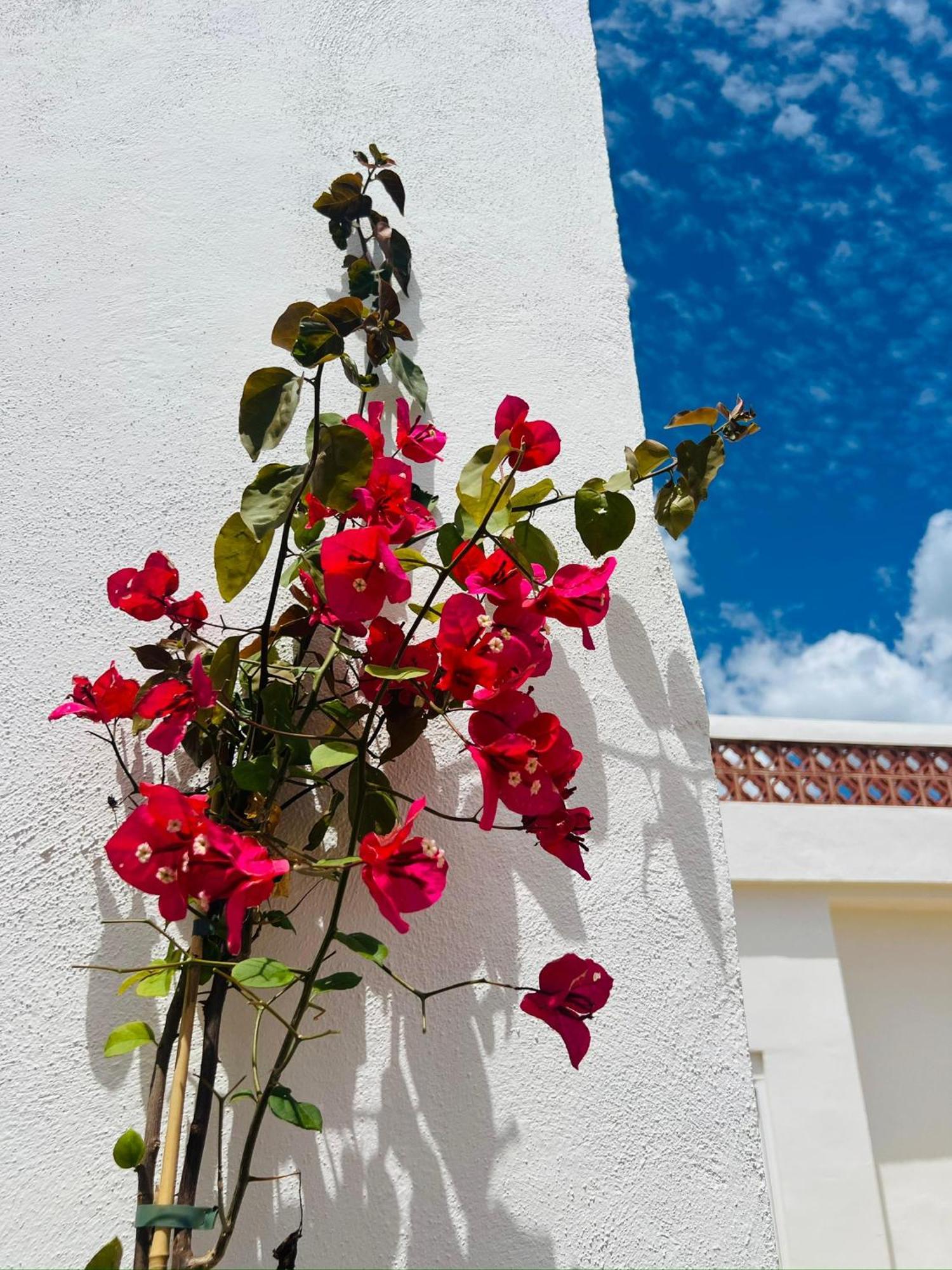 Apartamento Templo Sotogrande Exterior foto